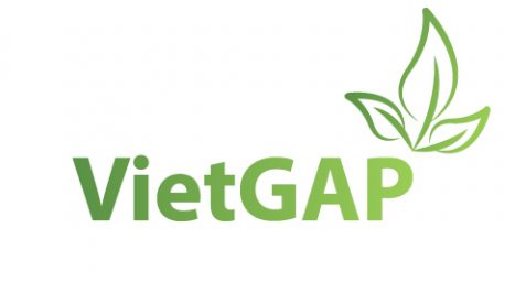 Việt GAP